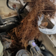 Image for article titled Toyota Land Cruisers Are Waking Up Neighborhoods In The Middle Of The Night Due To A Ridiculous Electrical Problem